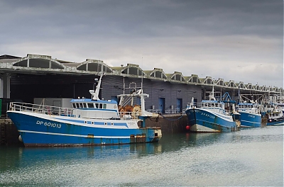 _DSC0788-12Cdieppe2C_bateaux_de_peche2C_criee-M.jpg